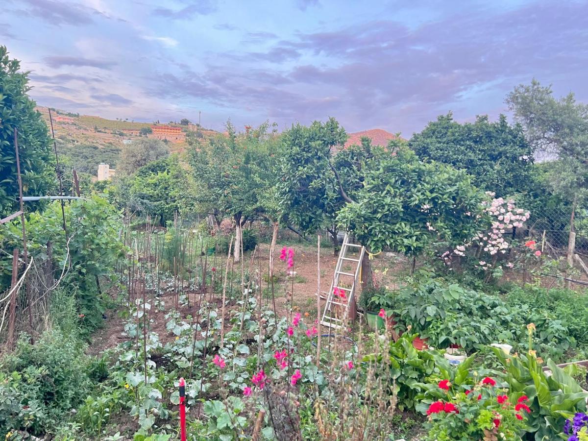 Elpis Guest House Himara Kültér fotó